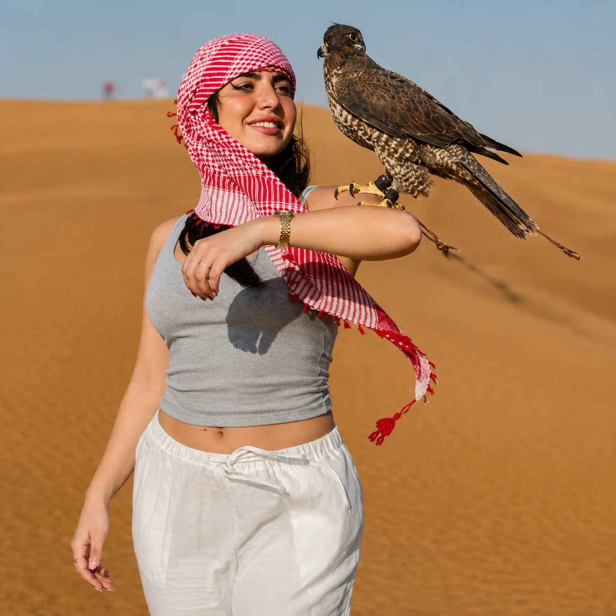 Dubai-Desert-safari-falcon-photography